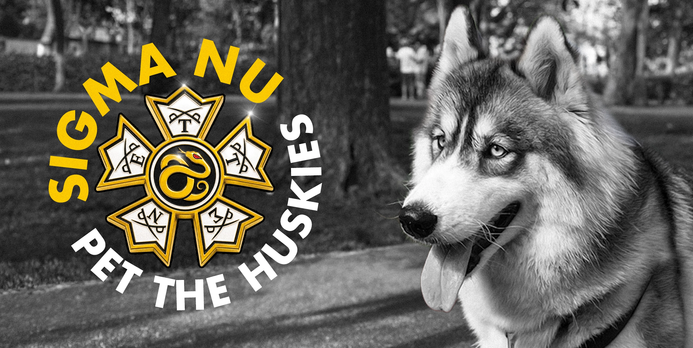 Sigma Nu NIU Pet Shelter Fundraiser