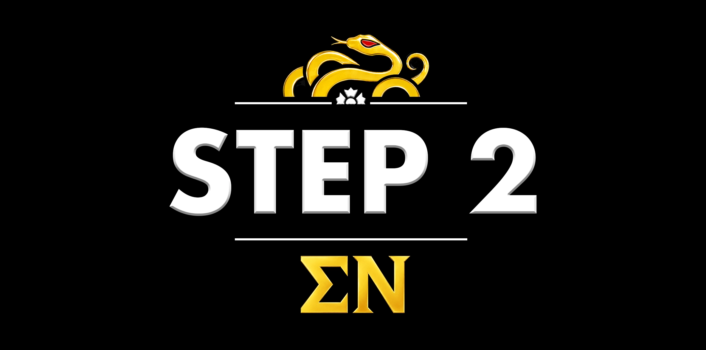 Recruitment and Rush Info for Fraternity Rush at NIU