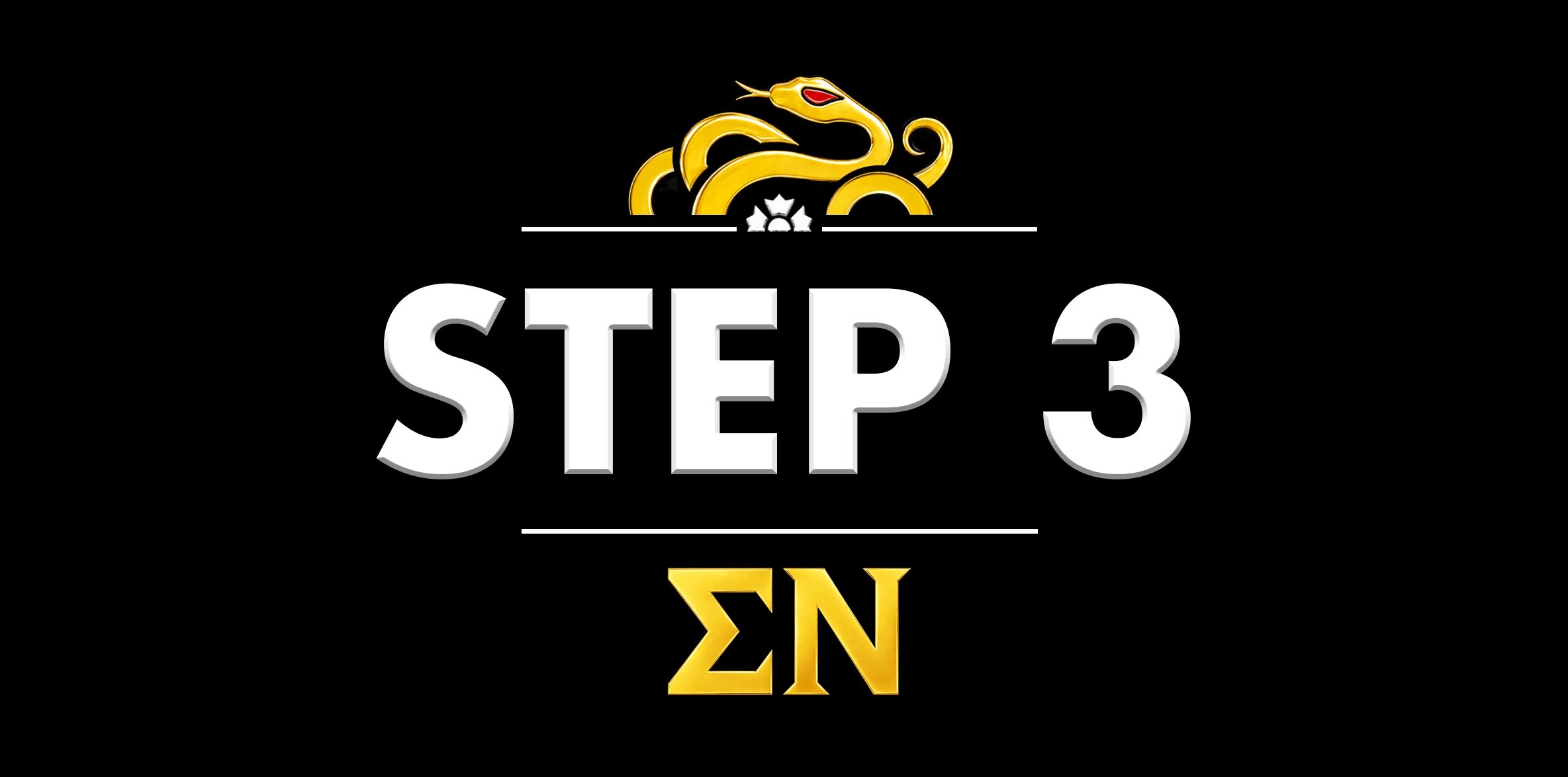 Rush Week at NIU for Greek Life. Rush Process