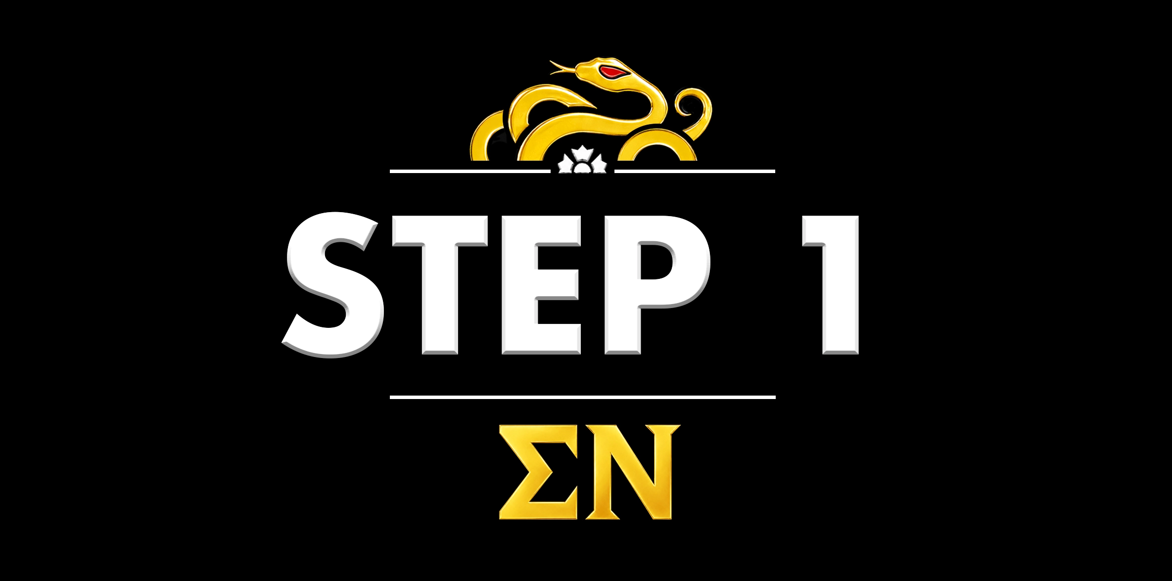 Rush Process at Northern Illinois University